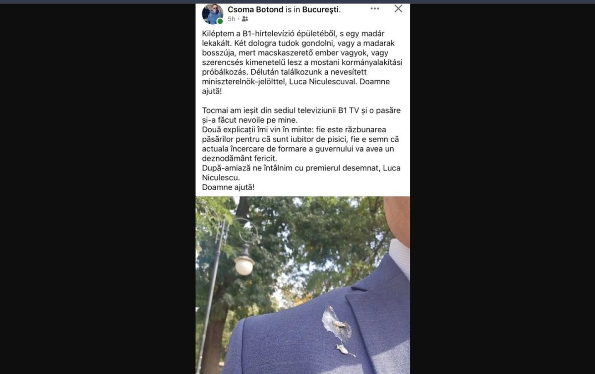 O pasare si-a facut nevoile pe liderul deputatilor UDMR, Csoma Botond, inaintea negocierilor pentru noul Guvern O pasare si-a facut nevoile pe liderul deputatilor UDMR, Csoma Botond, inaintea negocierilor pentru noul Guvern