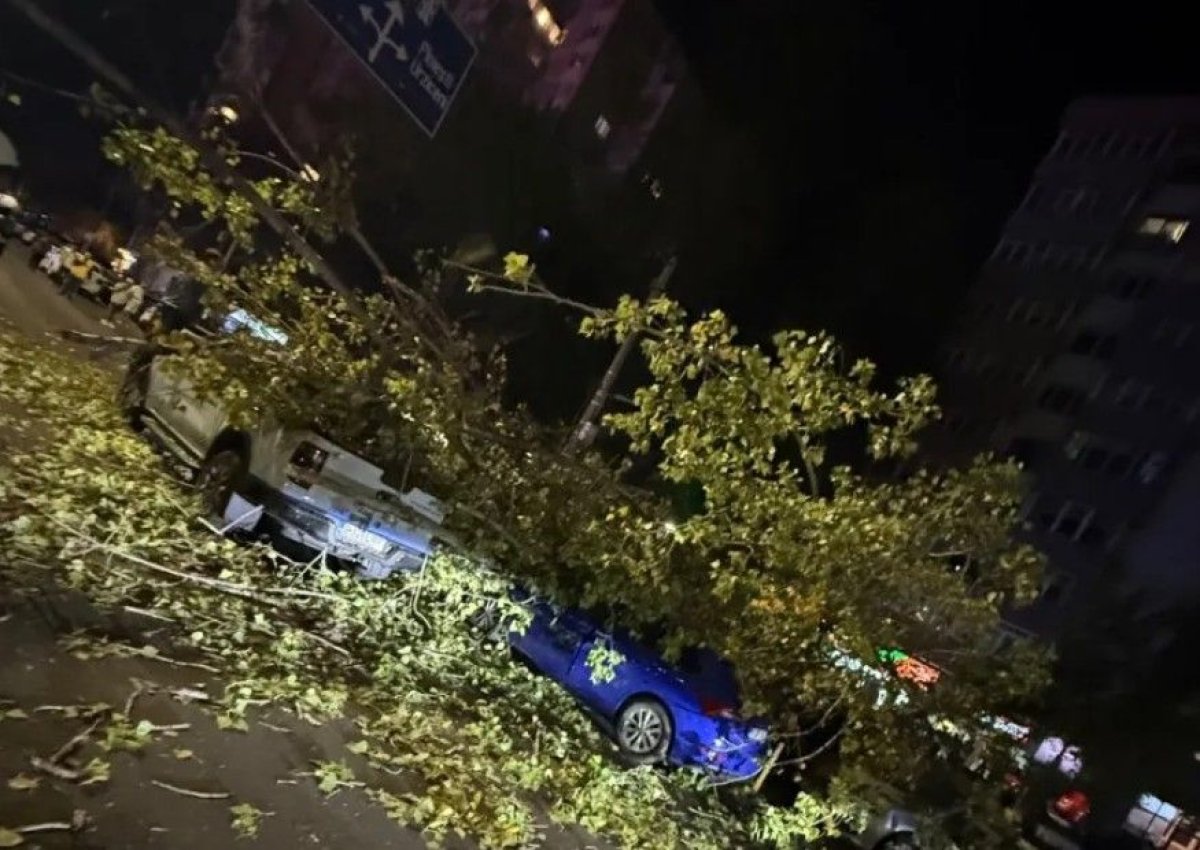 Un copac a cazut peste patru masini si o motocicleta. Un barbat a fost ranit. Video Un copac a cazut peste patru masini si o motocicleta. Un barbat a fost ranit. Video