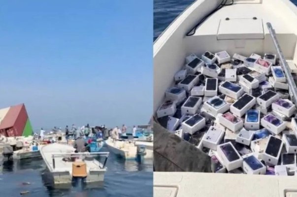 Sute de iranieni au ieșit la pescuit de... iPhone-uri și parfumuri de lux, în Strâmtoarea Ormuz. Video