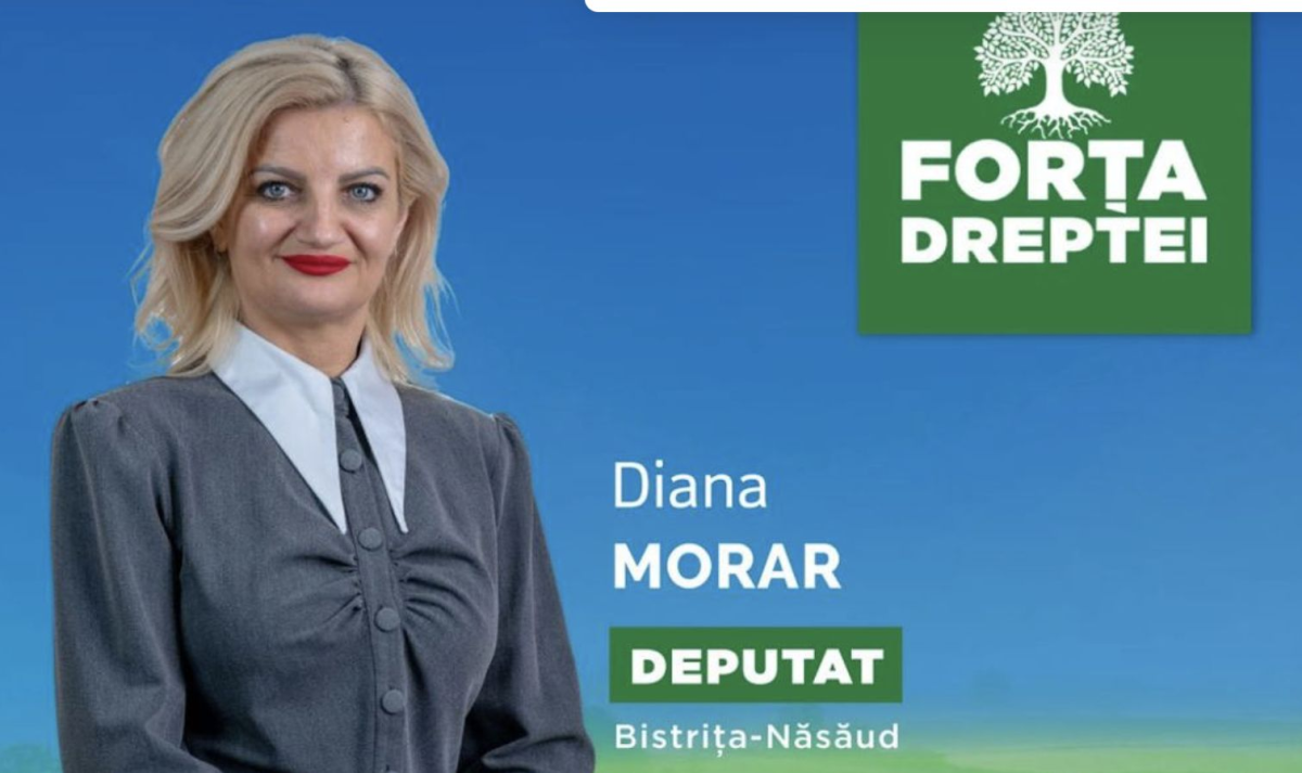 Cazul Diana Morar: Cum se deblocheaza o cariera politica atunci cand ai in spate o mostenire imobiliara solida Cazul Diana Morar: Cum se deblocheaza o cariera politica atunci cand ai in spate o mostenire imobiliara solida