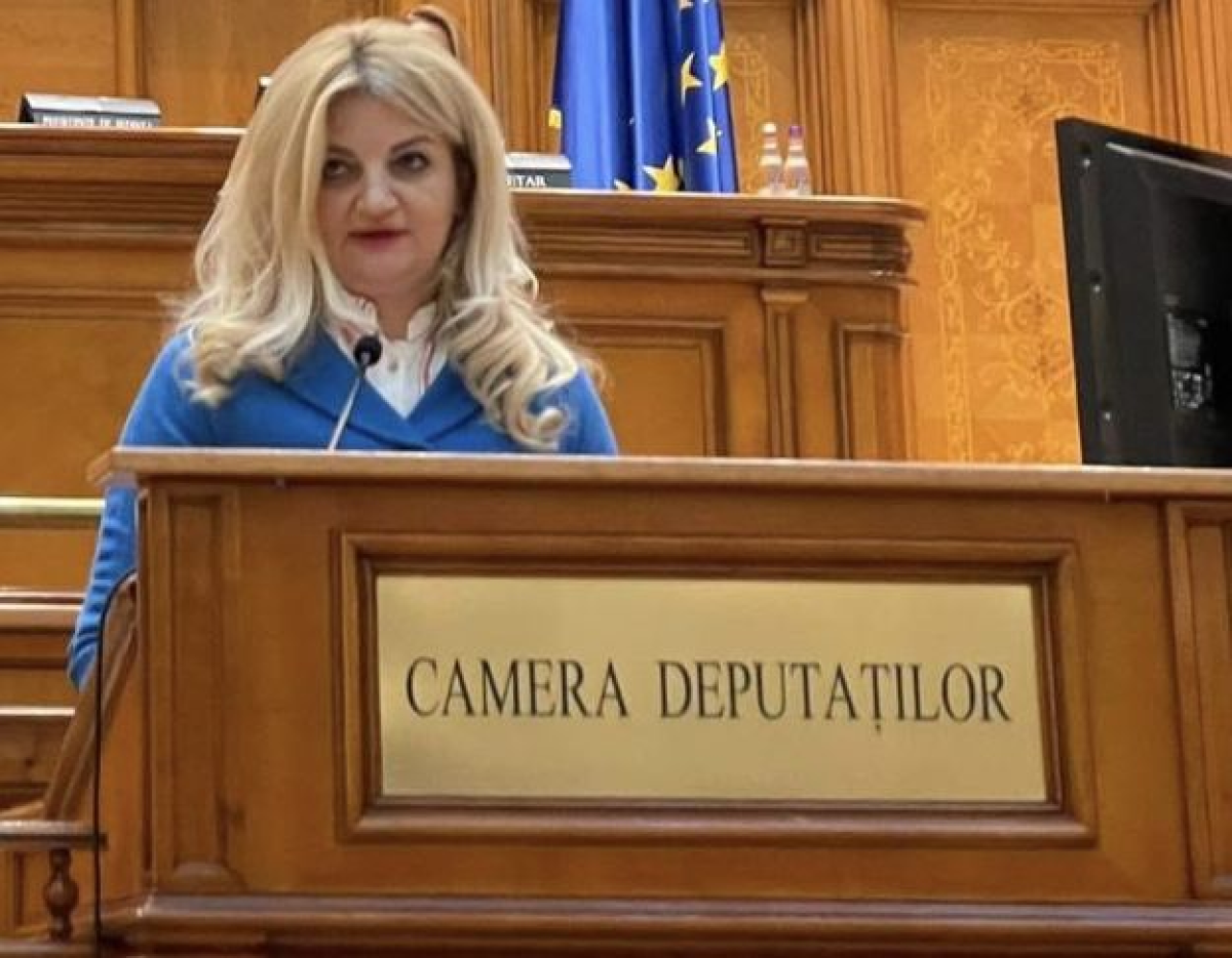 Cazul Diana Morar: Cum se deblocheaza o cariera politica atunci cand ai in spate o mostenire imobiliara solida Cazul Diana Morar: Cum se deblocheaza o cariera politica atunci cand ai in spate o mostenire imobiliara solida