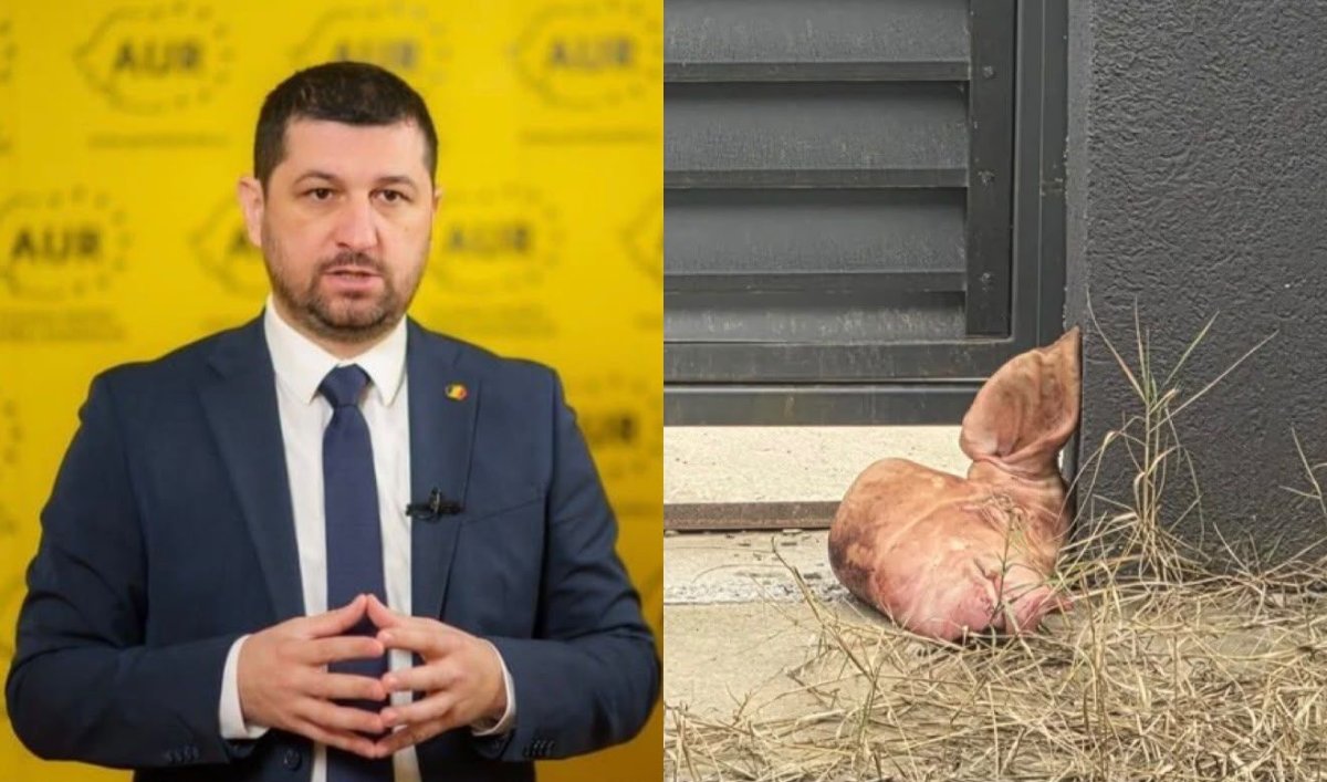 Un cap de porc, simbolul tradarii, a fost lasat in fata portii lui Marius Lulea: Ma simt amenintat Un cap de porc, simbolul tradarii, a fost lasat in fata portii lui Marius Lulea: Ma simt amenintat