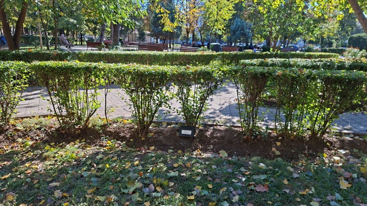 PNL Constanta prezinta bilantul saptamanal privind activitatea administratiei judetene PNL Constanta prezinta bilantul saptamanal privind activitatea administratiei judetene