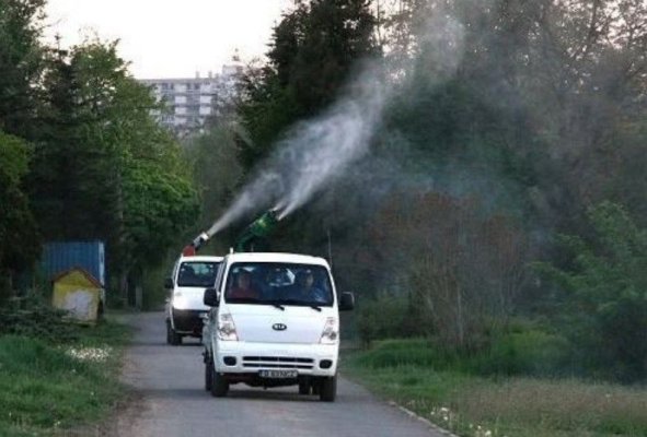 Bombă cu ceas: A sărit în aer mega-licitația de 24 de milioane de euro pentru dezinsecția orașului Constanța