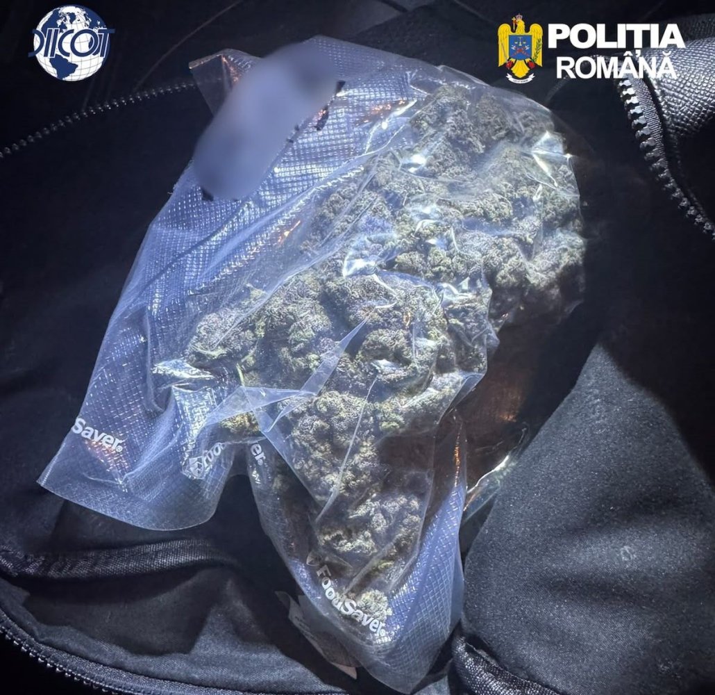 Tanar de 27 de ani, retinut de DIICOT Constanta dupa ce a fost prins pe A2 cu 250 de grame de canabis Tanar de 27 de ani, retinut de DIICOT Constanta dupa ce a fost prins pe A2 cu 250 de grame de canabis