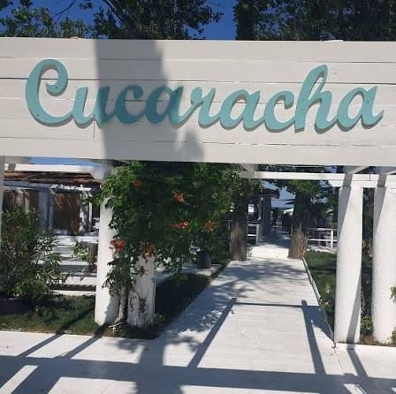 Batalia in instanta pentru falimentul celebrului club La Nueva Cucaracha continua. Instanta le-a luat patronilor dreptul de administrare Batalia in instanta pentru falimentul celebrului club La Nueva Cucaracha continua. Instanta le-a luat patronilor dreptul de administrare