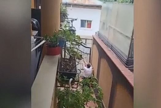 Focuri de arma in apropierea locuintei premierului Luca Niculescu. Un barbat a fost filmat in timp ce tragea cu pistolul