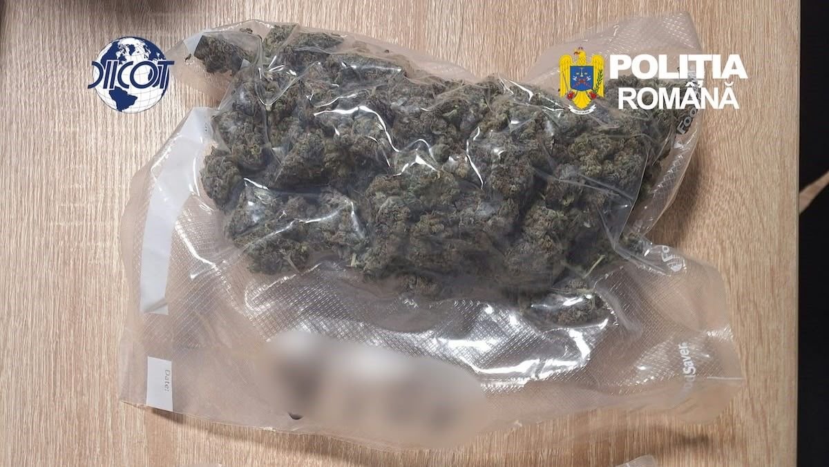 Tanar de 27 de ani, retinut de DIICOT Constanta dupa ce a fost prins pe A2 cu 250 de grame de canabis Tanar de 27 de ani, retinut de DIICOT Constanta dupa ce a fost prins pe A2 cu 250 de grame de canabis