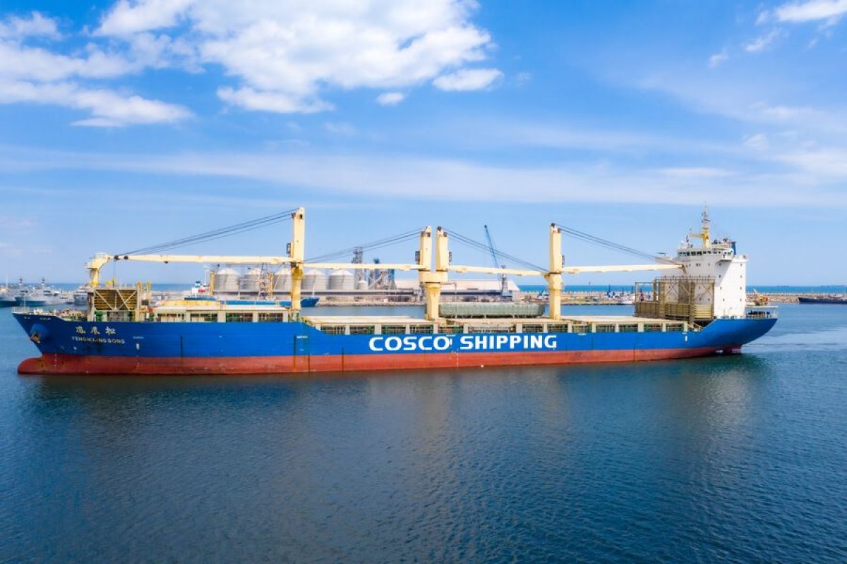Lovitura devastatoare pentru COSCO, din Portul Constanta! ANAF a ”demolat” schema prin care gigantul chinez fenta TVA-ul in Romania Lovitura devastatoare pentru COSCO, din Portul Constanta! ANAF a ”demolat” schema prin care gigantul chinez fenta TVA-ul in Romania