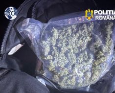 Tânăr de 27 de ani, reținut de DIICOT Constanța după ce a fost prins pe A2 cu 250 de grame de canabis
