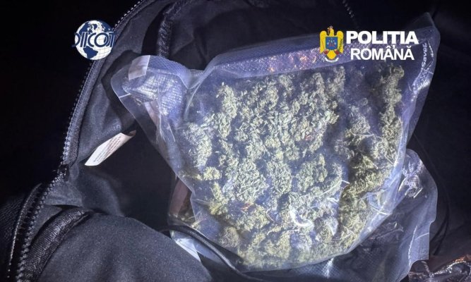 Tânăr de 27 de ani, reținut de DIICOT Constanța după ce a fost prins pe A2 cu 250 de grame de canabis