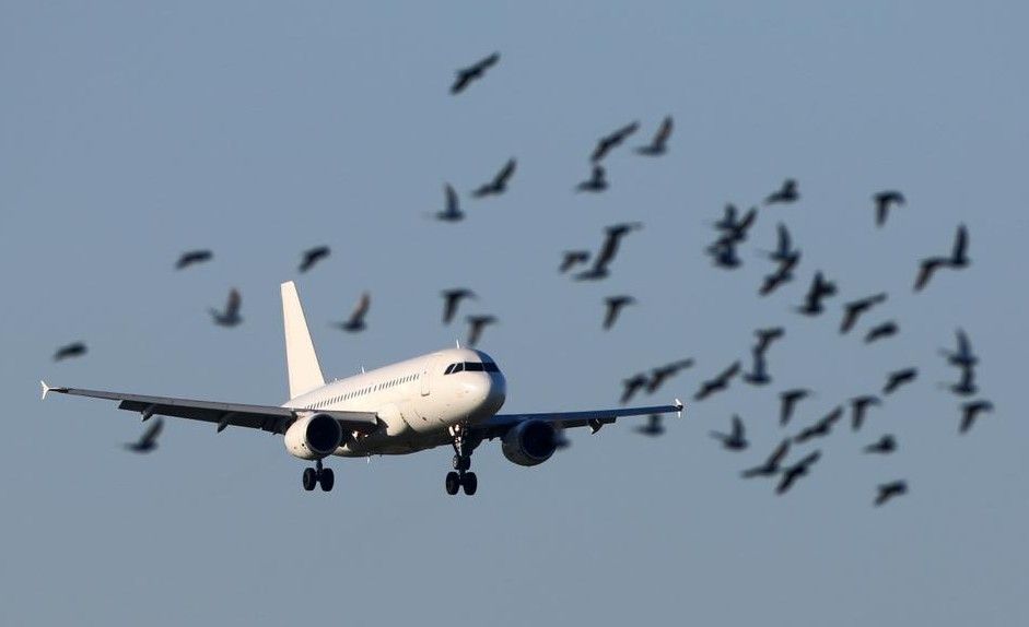 Aterizare de urgenta pe Aeroportul Otopeni! Un avion Wizz Air, cu peste 200 de persoane la bord, ar fi lovit un stol de pasari Aterizare de urgenta pe Aeroportul Otopeni! Un avion Wizz Air, cu peste 200 de persoane la bord, ar fi lovit un stol de pasari