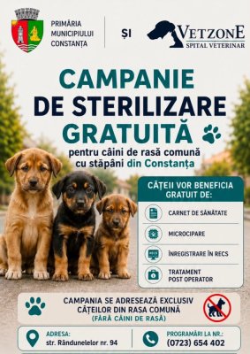 Primăria Constanța: Campanie gratuită de sterilizare a câinilor de rasă comună cu proprietar