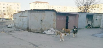 Poliţia Locală a desfiinţat alte garaje din Constanţa