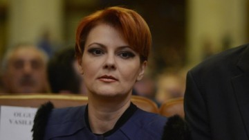 Lia Olguţa Vasilescu: Legea pensiilor este cea mai aşteptată lege la ora actuală