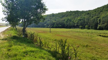 UE a aprobat o schemă de ajutoare a României în valoare de 200 de milioane euro pentru proprietarii de păduri