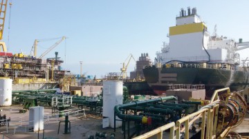 OFICIAL: Olandezii de la DAMEN vor prelua managementul Şantierului Naval Mangalia