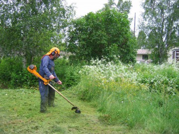 Iată unde vor lucra cei de la Spații Verzi, în această săptămână