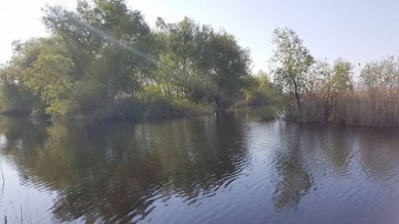 Bărbat dispărut în Delta Dunării, după ce a căzut dintr-o barcă