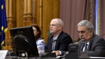 Ce spune Nicolicea despre executarea pedepsei la domiciliu