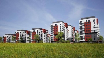 Răzvan Cuc: Piaţa imobiliară din România ar putea creşte cu 3-4% în 2019