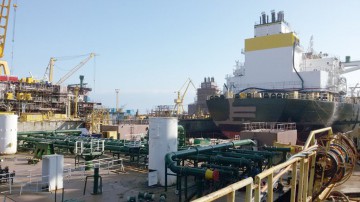 Damen și Ministerul Economiei au bătut palma pentru Șantierul Naval Mangalia!