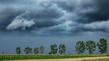 AVERTIZARE DE VÂNT ŞI PLOI! Primăria, în alertă
