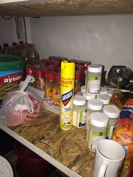 Gândacii se plimbă prin marfa de la terasa Don Goe din centrul vechi. VIDEO!