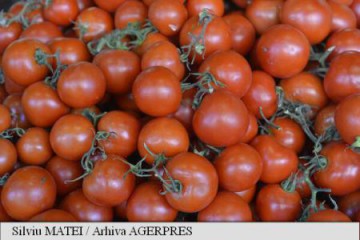 Cel mai mare depozit și procesator de legume din țară va fi realizat la Nojorid cu fonduri UE