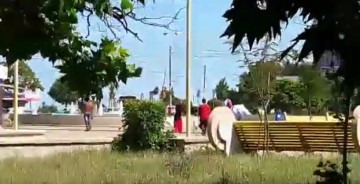 Mai mulți țigani s-au luat la harță, în zona Far: 