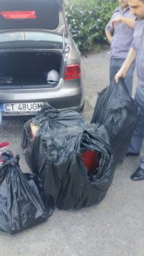DESCINDERI ale poliţiştilor de frontieră pe nava Antares! Comandantul s-ar fi apucat de contrabandă fiindcă nu şi-a primit salariul de anul trecut!