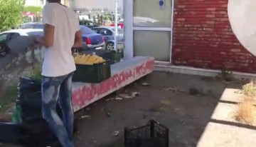 Control OPC: porumbul din Mamaia, preparat printre gunoaie!