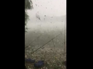 Ploile au făcut PRĂPĂD la Tulcea! VIDEO