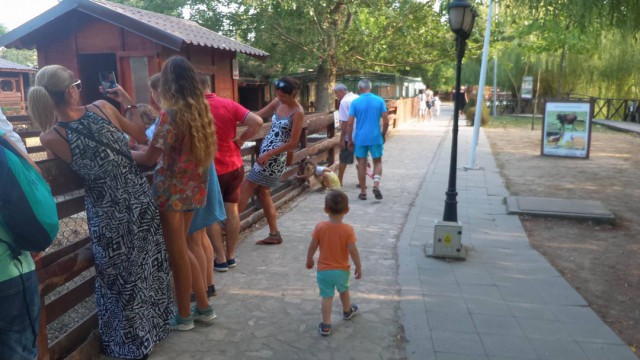 Turiștii au luat cu asalt Delfinariul, Microrezervația și Acvariul