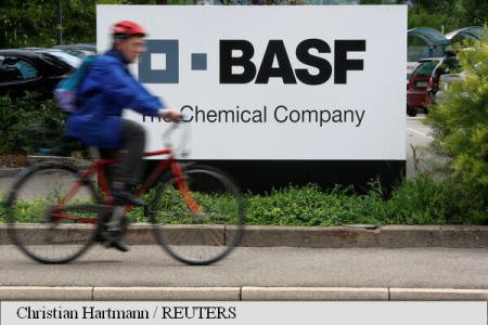 BASF va restricționa folosirea insecticidului fipronil, găsit în ouăle contaminate