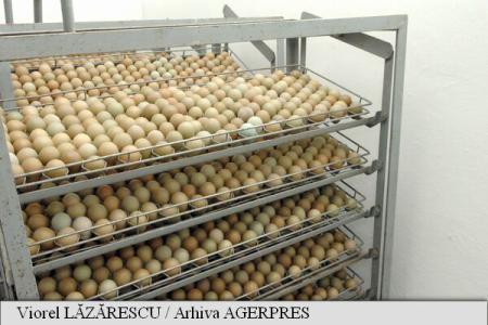 Scandalul ouălor contaminate cu insecticid se extinde în opt state din UE