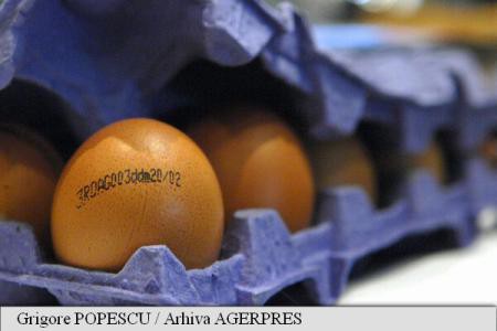Scandalul ouălor contaminate cu insecticid se extinde în 17 state europene