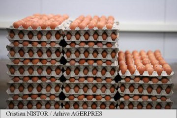 Supermarketurile din Germania nu mai vând ouă de teama contaminării cu pesticide