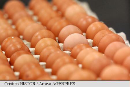 Belgia acuză Olanda că a găsit ouă contaminate cu insecticid încă din noiembrie 2016, dar nu a anunțat