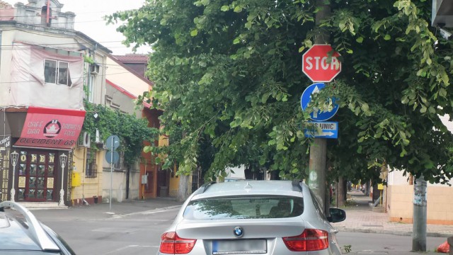 Indicatoarele rutiere, ghicitori printre frunze, în intersecțiile din Constanța