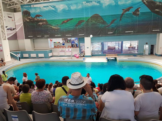 Intrare GRATUITĂ la Delfinariu!