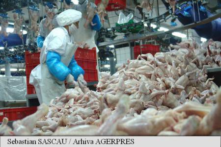 România a importat 42.600 de tone de carne de pasăre în primele patru luni; exporturile, de 2,4 ori mai mici