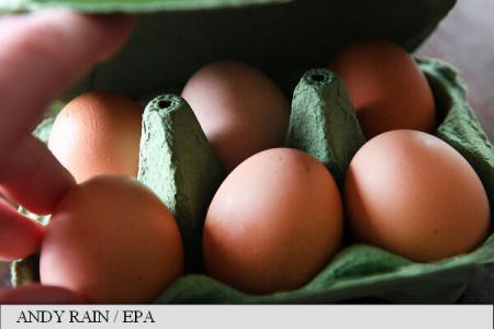 Belgia va solicita despăgubiri în scandalul ouălor contaminate