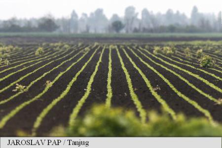 Serbia restricționează vânzarea terenurilor agricole către cetățenii din UE