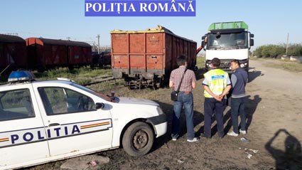 Controale: peste 34 de metri cubi de material lemnos confiscaţi