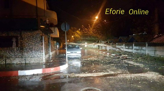 Furtuna a doborât copaci la Eforie Nord