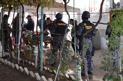Percheziţii în Tulcea, la o grupare specializată în furturi din societăţi
