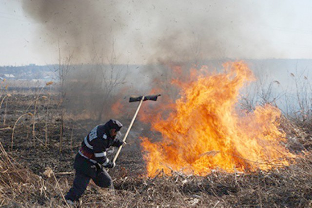15 hectare de vegetaţie au ars la Mircea Vodă