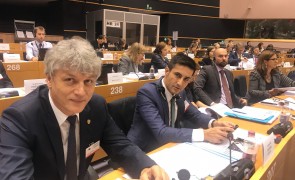 Senatorul Liviu Brăiloiu, membru în Secretariatul Grupului mixt de control parlamentar asupra Europol