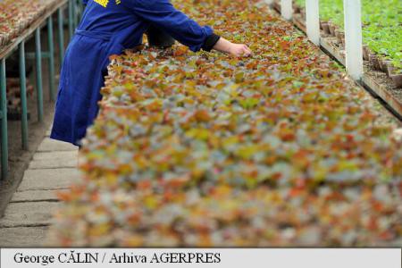 Fermierii sunt obligați să accepte munca la negru; zilierii nu vor să muncească pentru că pierd ajutoarele sociale